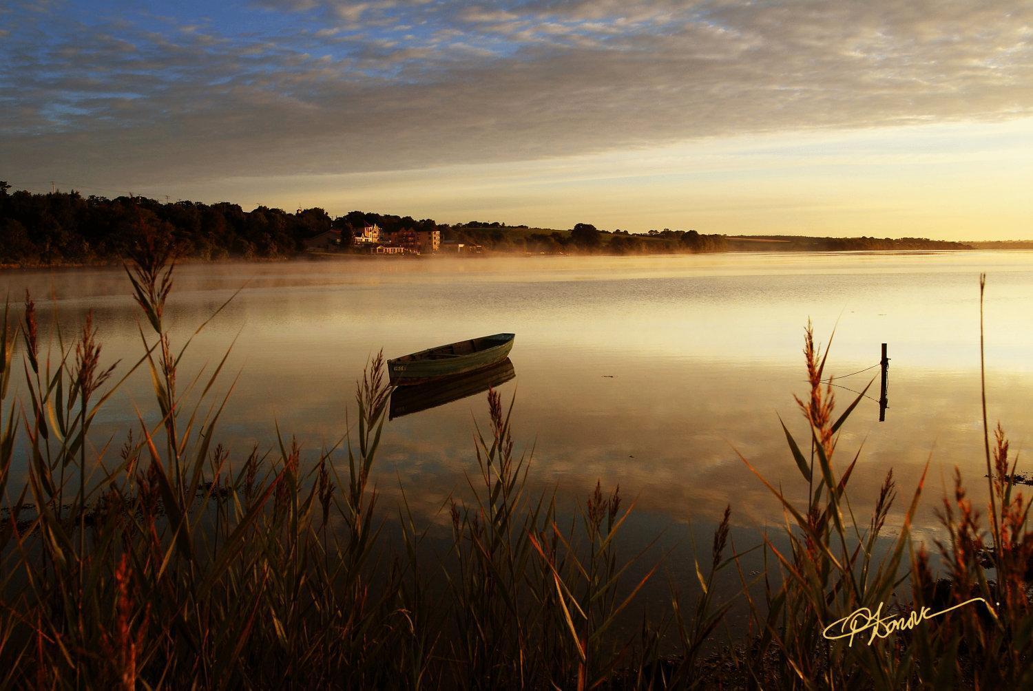 Ferrycarrig Hotel Esterno foto